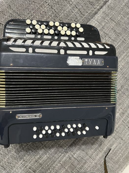 Acordeon TYAA pentru  copii  in stare buna