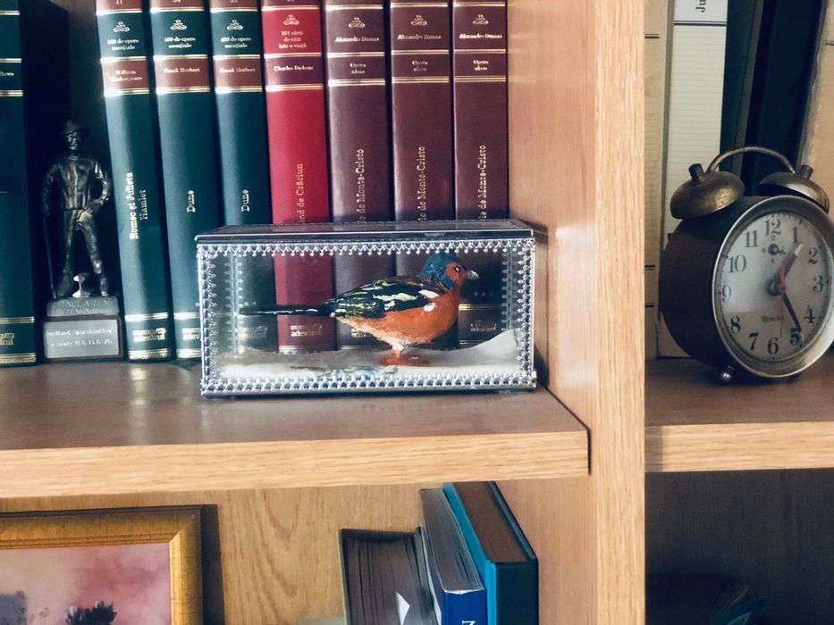 Obiecte de arta personalizate, lucrate manual, la cerere