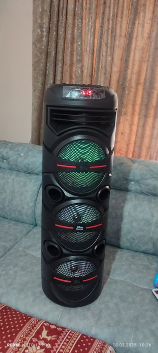 Kalonka singe sotiladi