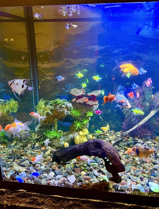 Аквариум 30 литров Новый (комплект)