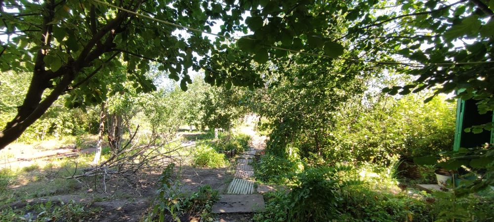 Продам Дачу в содовом обществе Восток