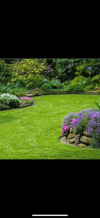 Покос травы / Уборка участка