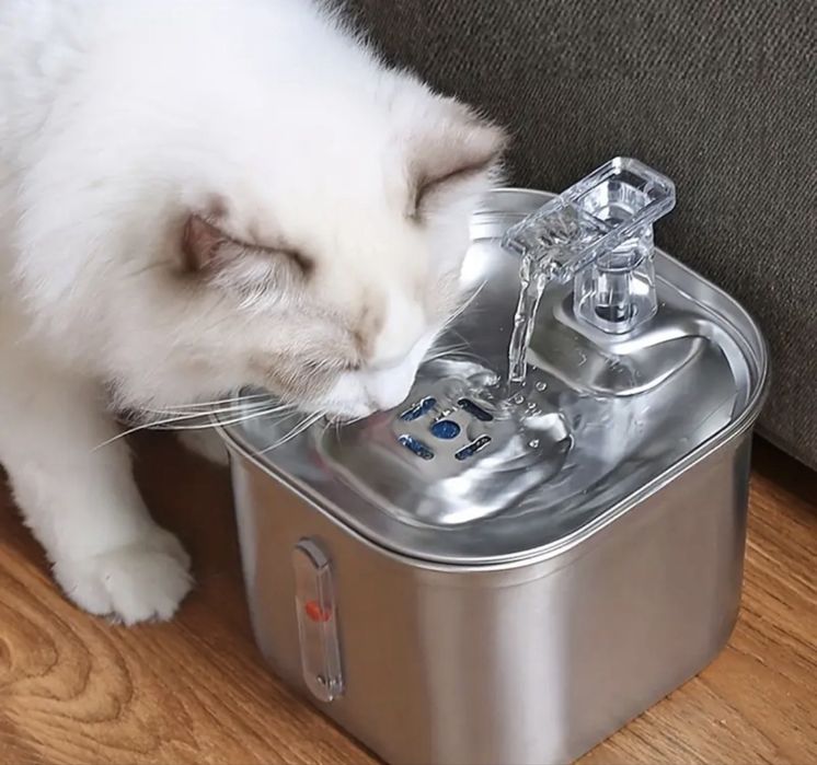 1.7 л. Котешки Фонтан от Неръждаема Стомана