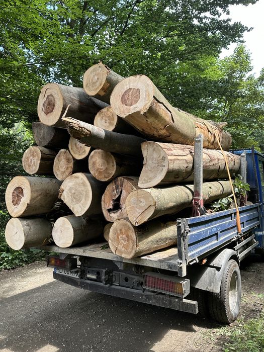 Lemn de foc    Lemne de foc