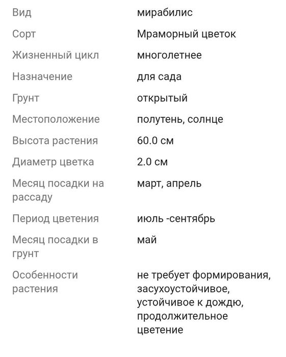 Продам семена МИРАБИЛИС ночная красавицаа