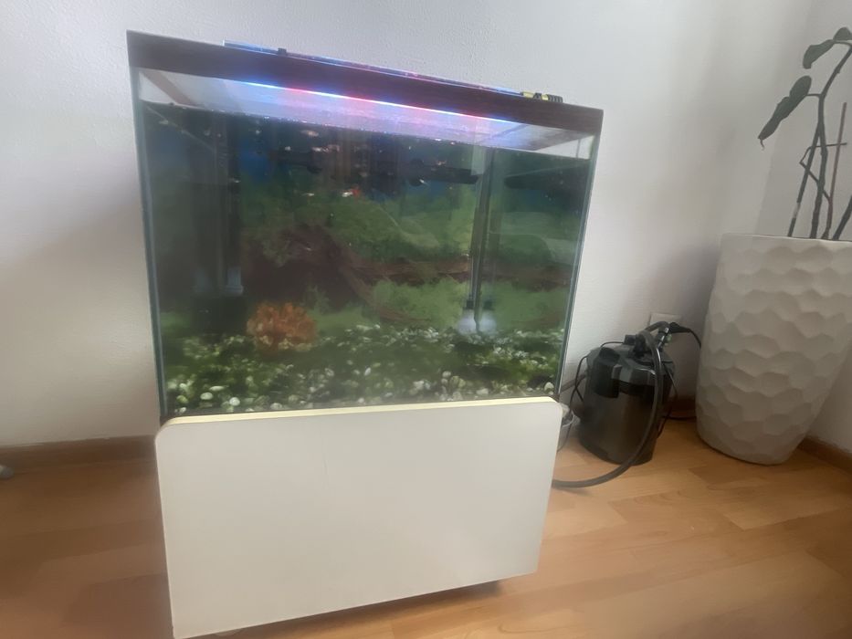 Аквариум продам большой