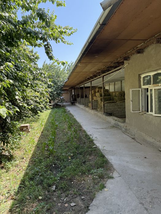 Участок (ферма), сад свой