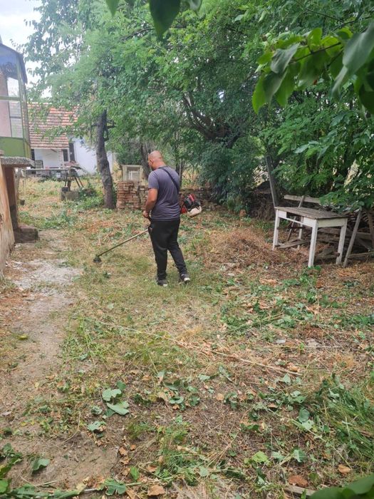 Косене почистване на дворове