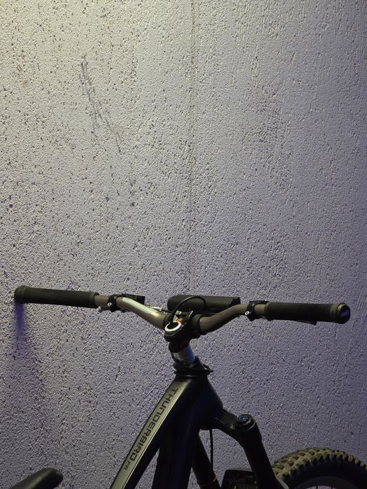 MTB Freeride Dartmoor Thunderbird Freeride Custom