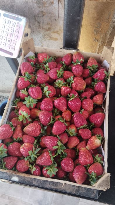 Клубника в продаже каскелен