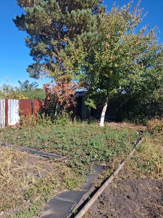 Продам дачу в лисаковске сады 2