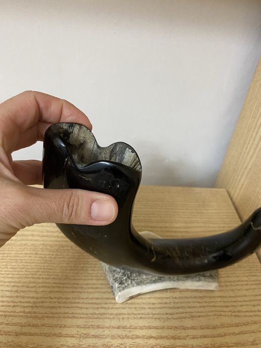 Рог за декорация