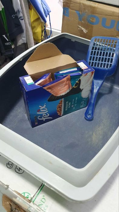 Комплект за коте: тоалетна и транспортна чанта - в отлично състояние