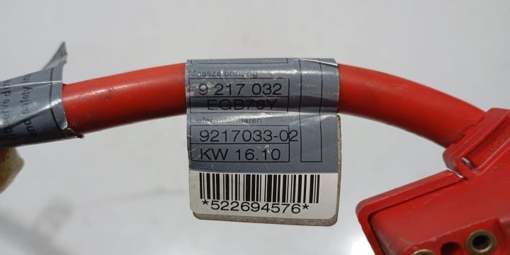 Cablu alimentare borna baterie plus 9217033-02 BMW Seria 7 F01/F02 [f