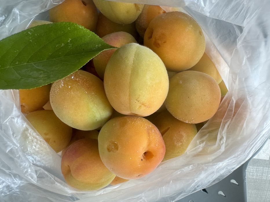 Урюк замороженный