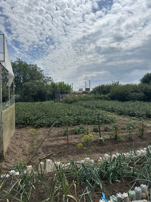 Продам дачу на Темирязева