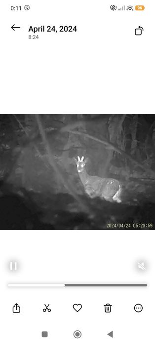 Термо прицел + нощно (комбиниран)