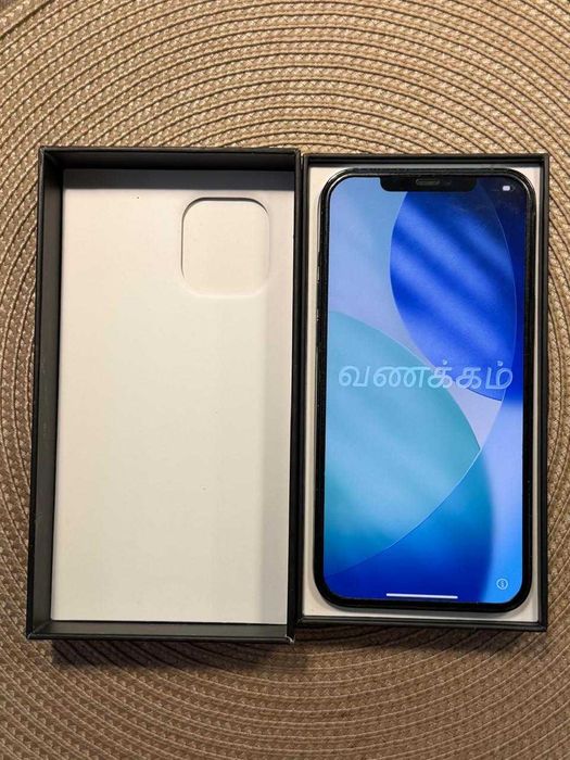 iPhone 12 pro max 256