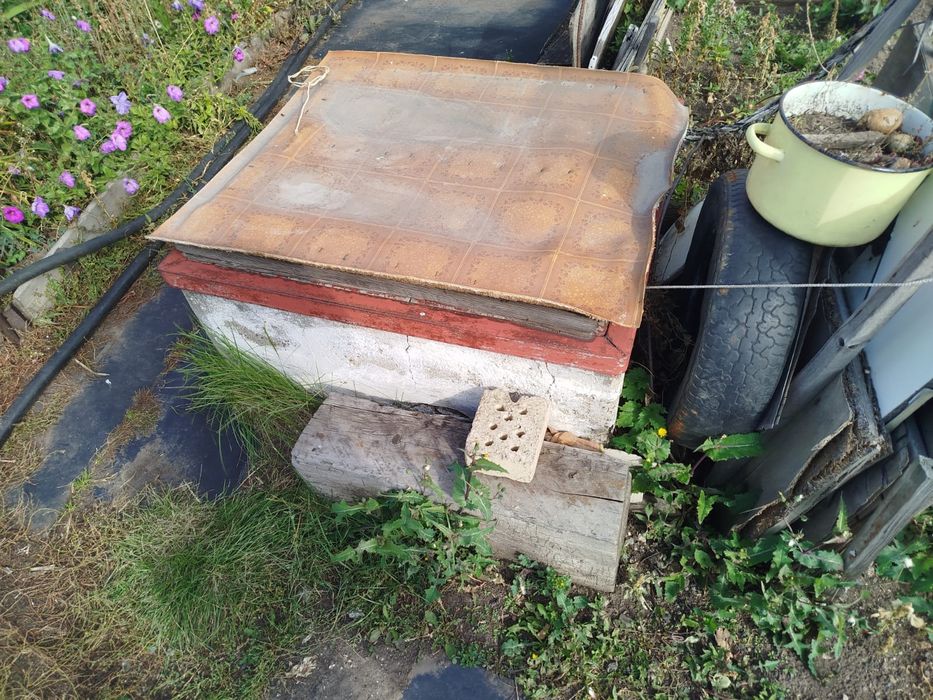 Продаю дачу общество оптимист