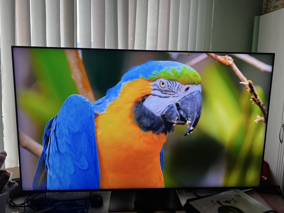 SAMSUNG Neo QLED QN95D 55 inch