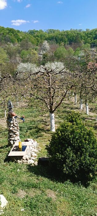 Casă cu teren de vânzare