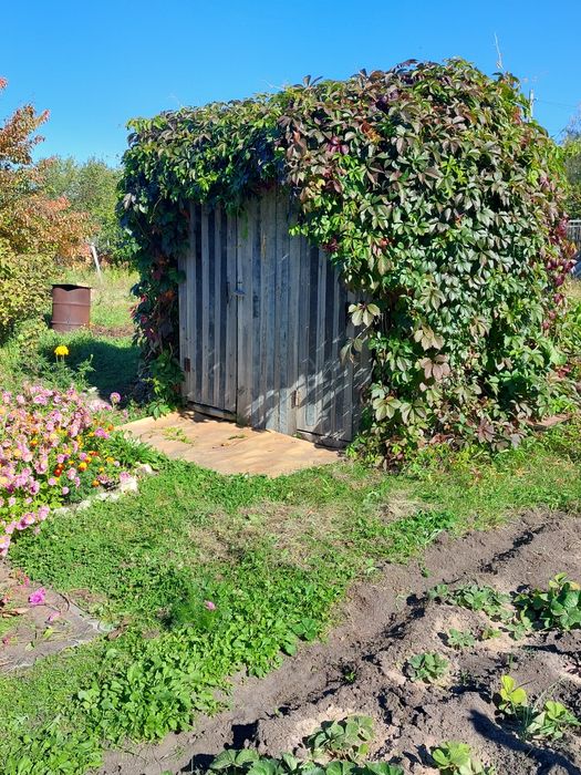 Продам дачу со горизонт