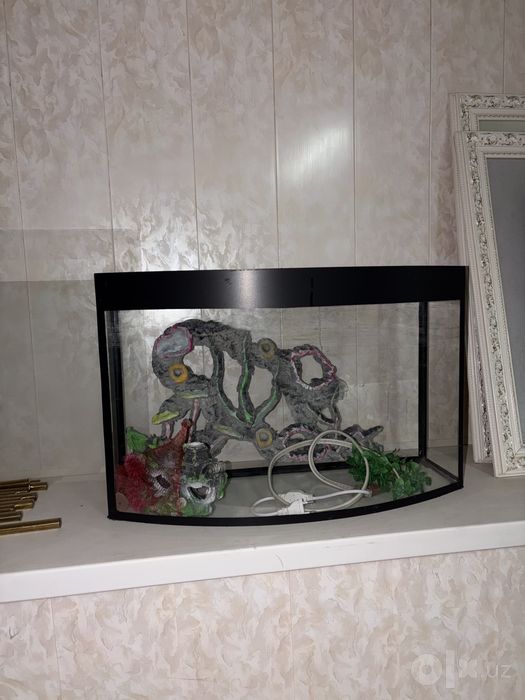 Akvarium 40litrli