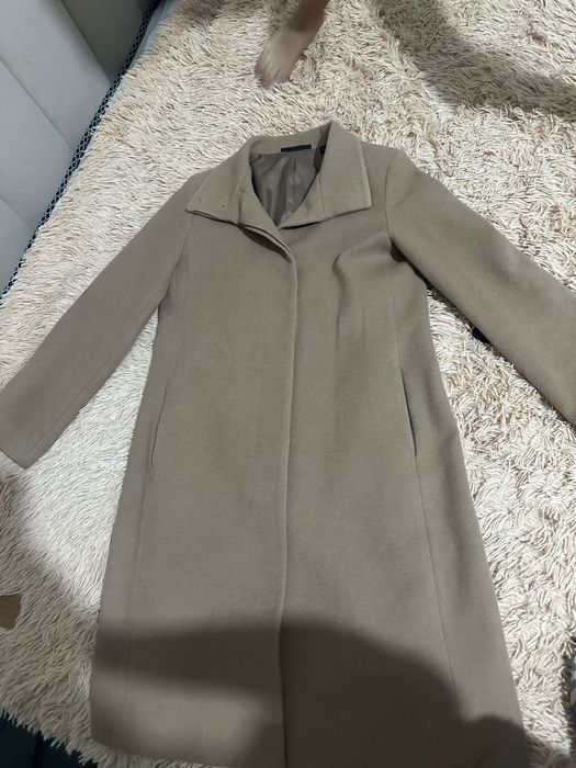Massimo dutti, uniqlo, zara