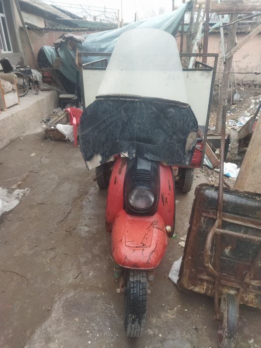 Rassiya muravey xolati yaxshi