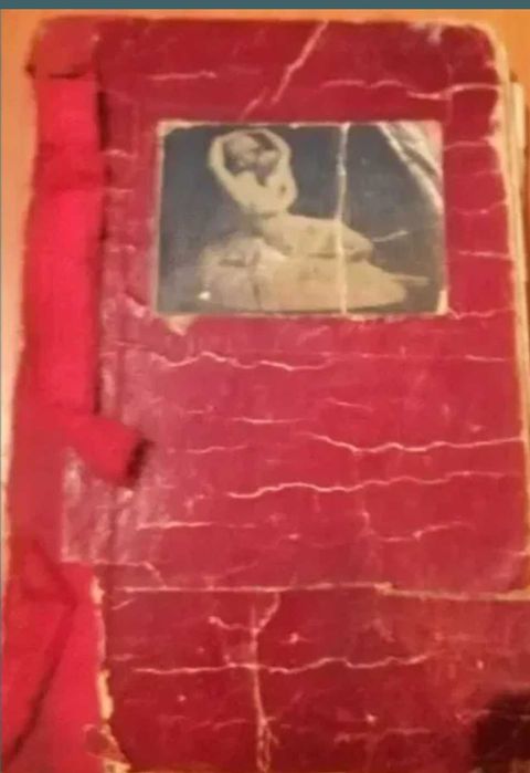 Carte  Instinctul sexual 1921, Dr iosif westfried