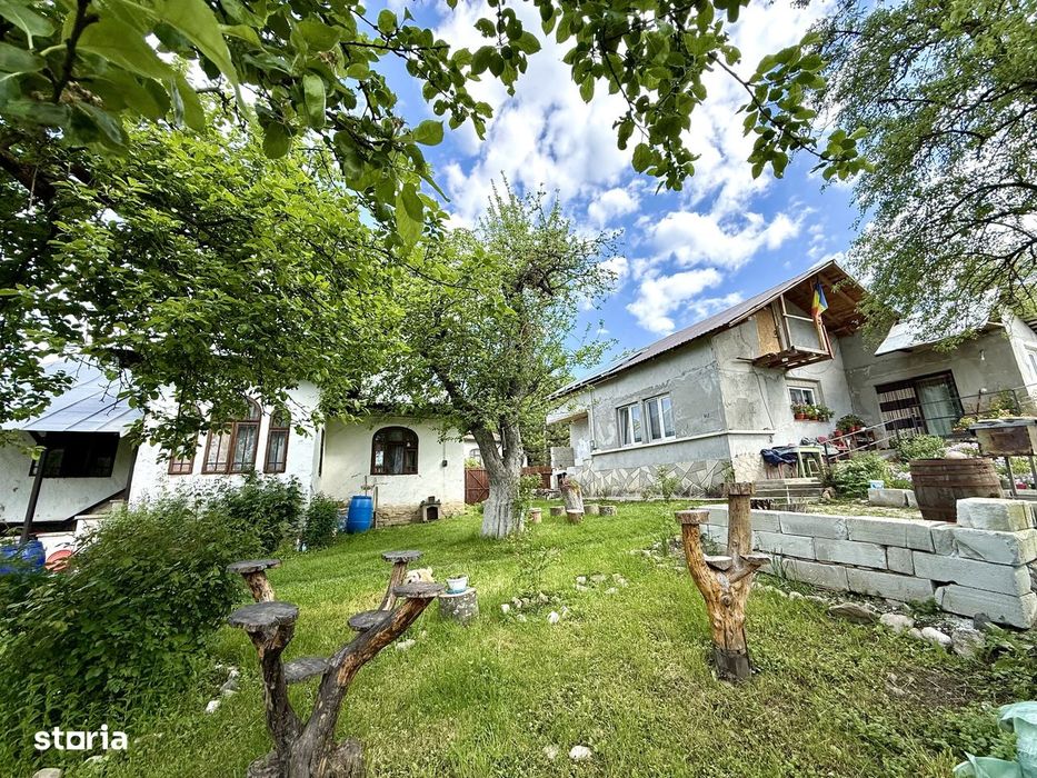 2 Case + teren 1390 mp langa parcul central Provita de Sus