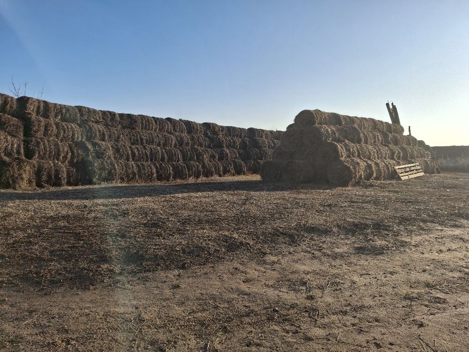 Продам Сено, Солому.