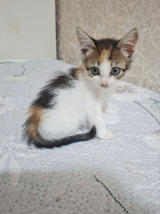 Крошечка Евочка 1.5 месяца ..