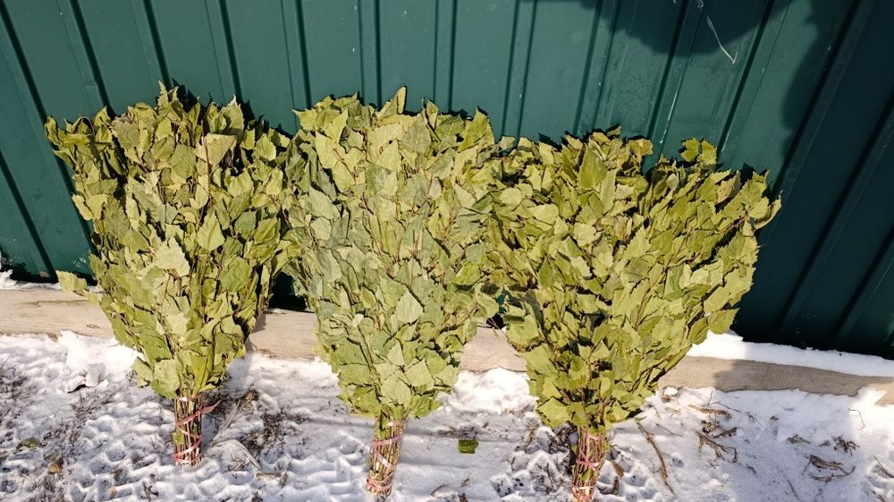 Веники для бани березовые