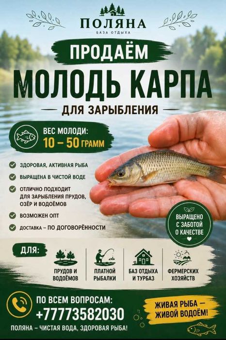 Продам Молодь Карпа