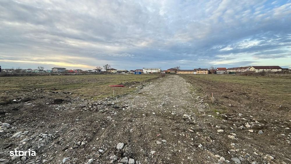 COMISION 0% Terenuri Intravilane Toate Utilitatile  Front 24m Sacalaz