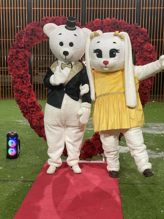 Прокат тэдди костюмов