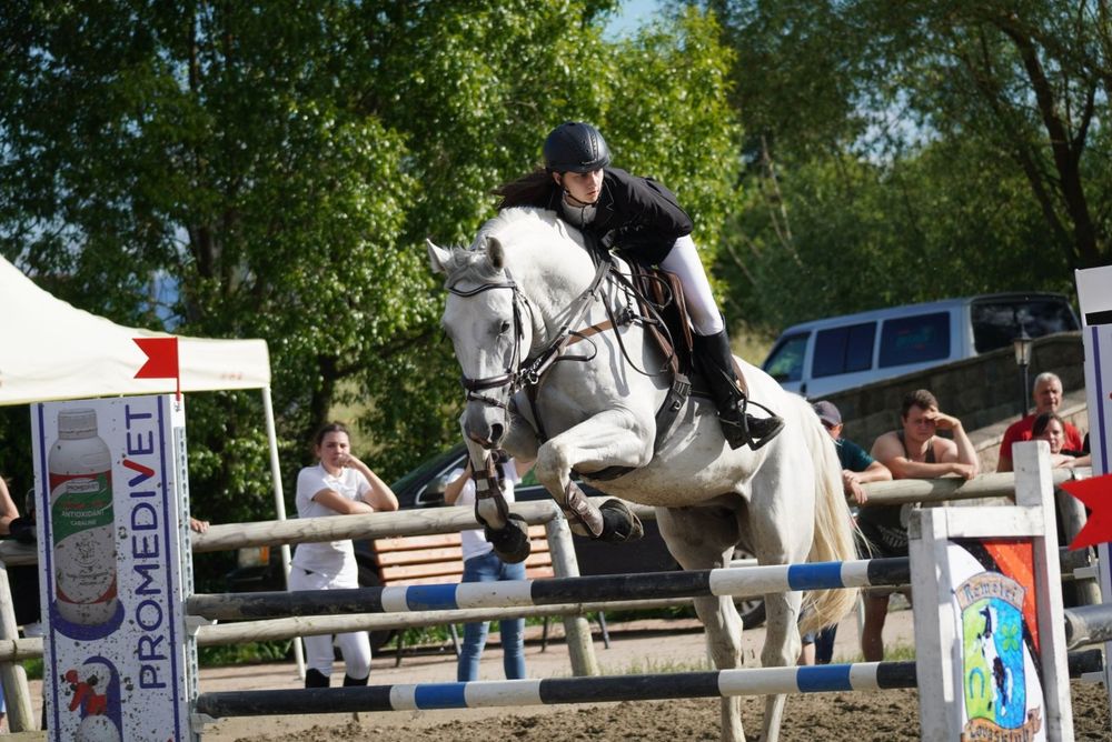 Cal de sport de vanzare!