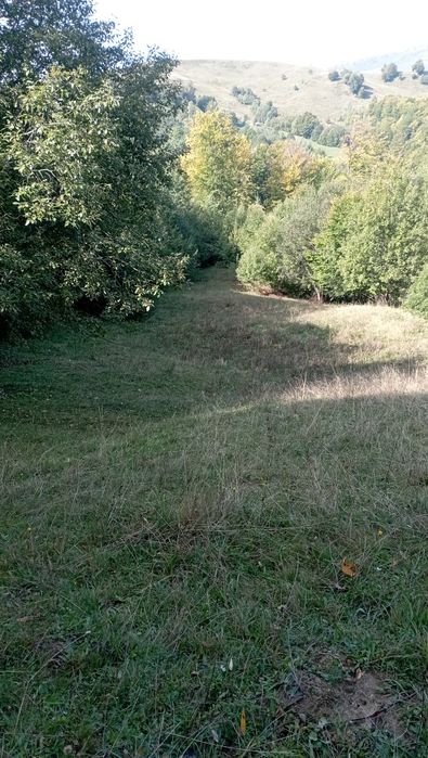 Casa batraneasca cu teren livada intravilan/extravilan 9032mp