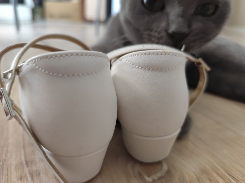 Туфли для бальных танцев