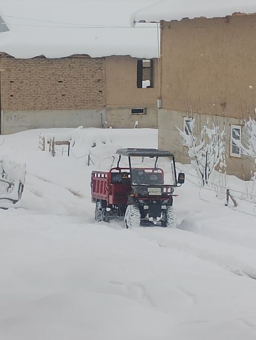 Квадроцыкл гурузавой