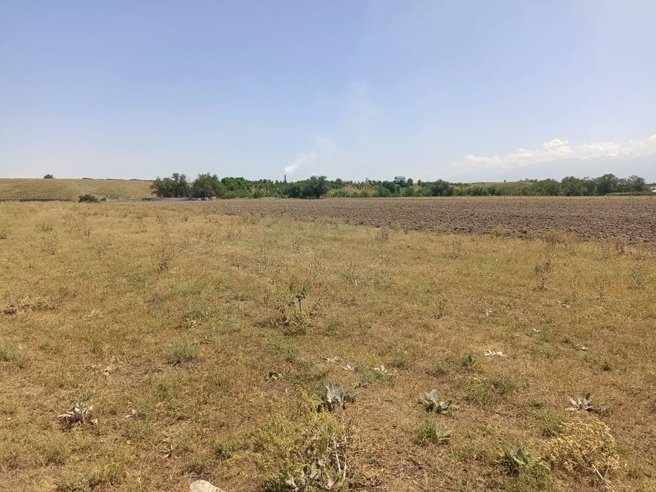 Участок 8 гектаров