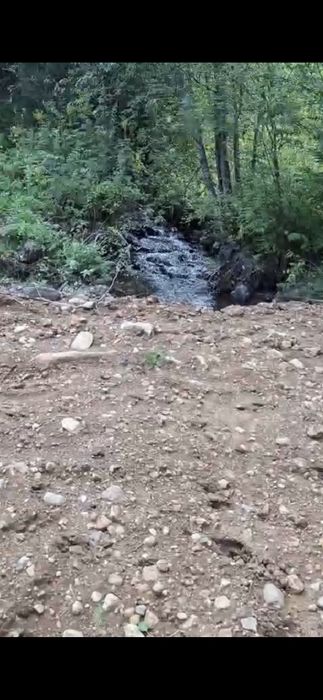 Teren la munte, Bucovina