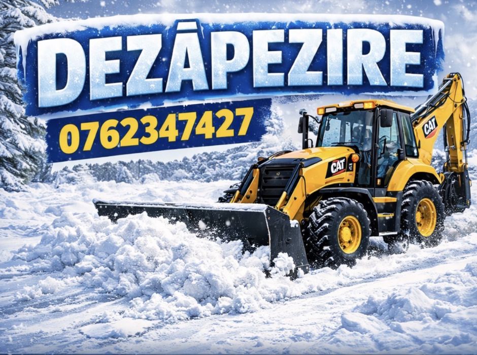 Dezapezire Buldoexcavator   Bob Cat