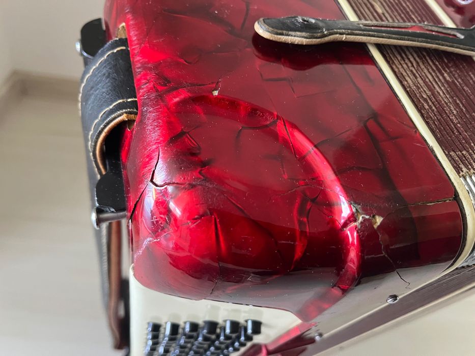 Acordeon Parrot 120 bași