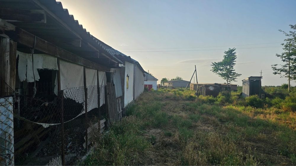 Уй сатылады Калшораев ауылында