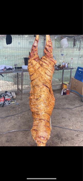 Protap de inchiriat si berbecuti