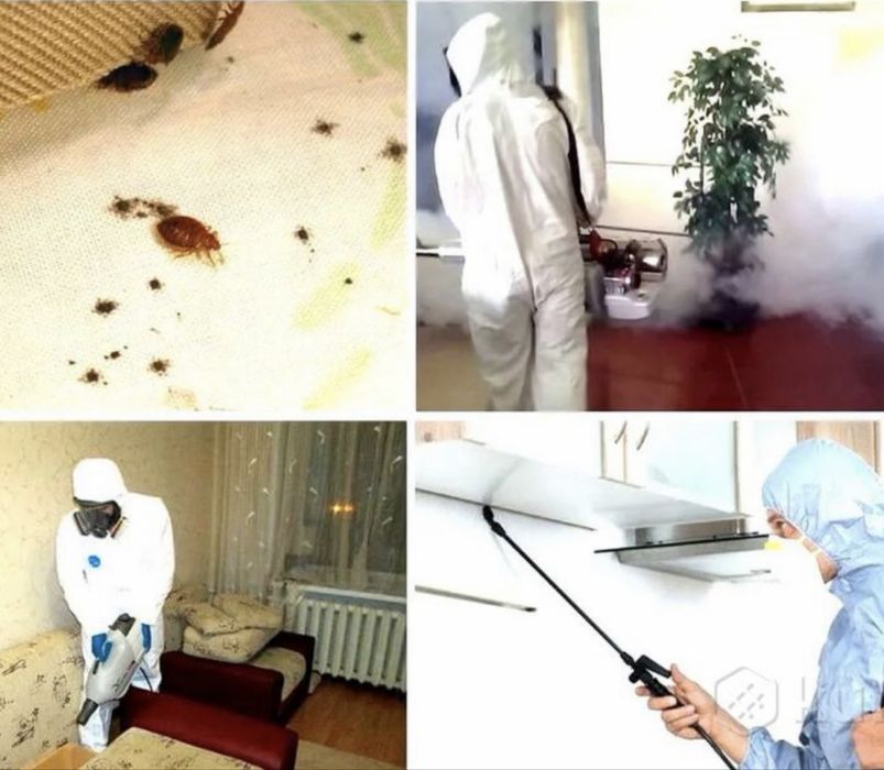Дезинфекция,Дезинсекция,Дератизатция