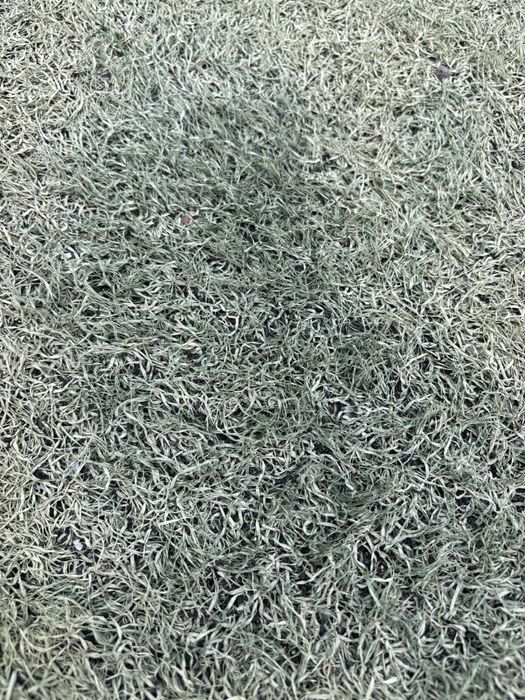 Gazon sintetic teren fotbal