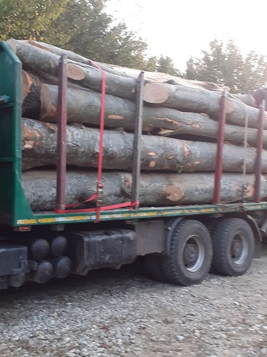 Lemne de foc esențe tari și moi